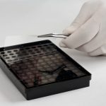 Acktar-3D-Transparent-Bottom-Cell-Culture-Coated-Microplates-1