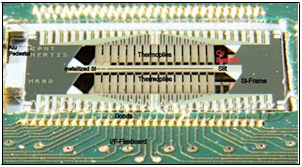 MRAD detector chip and part of I/F flexboard